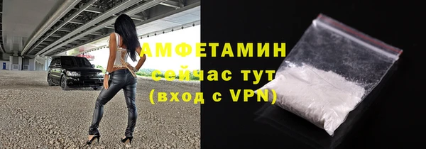 крисы Абаза