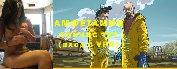 крисы Абаза