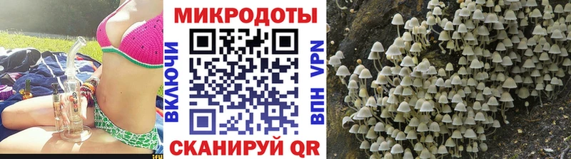 Галлюциногенные грибы мицелий  маркетплейс какой сайт  Ленинградская  что такое  